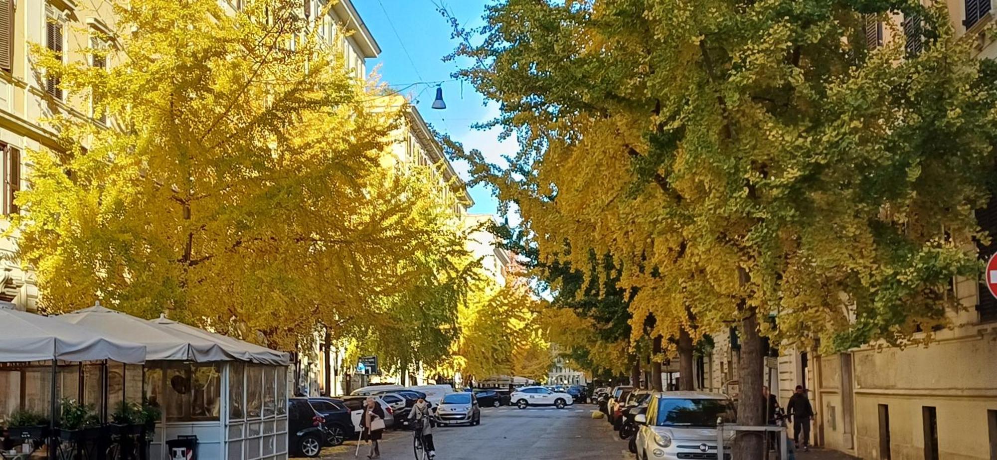 La Casa Dei Papi 71 * Roma